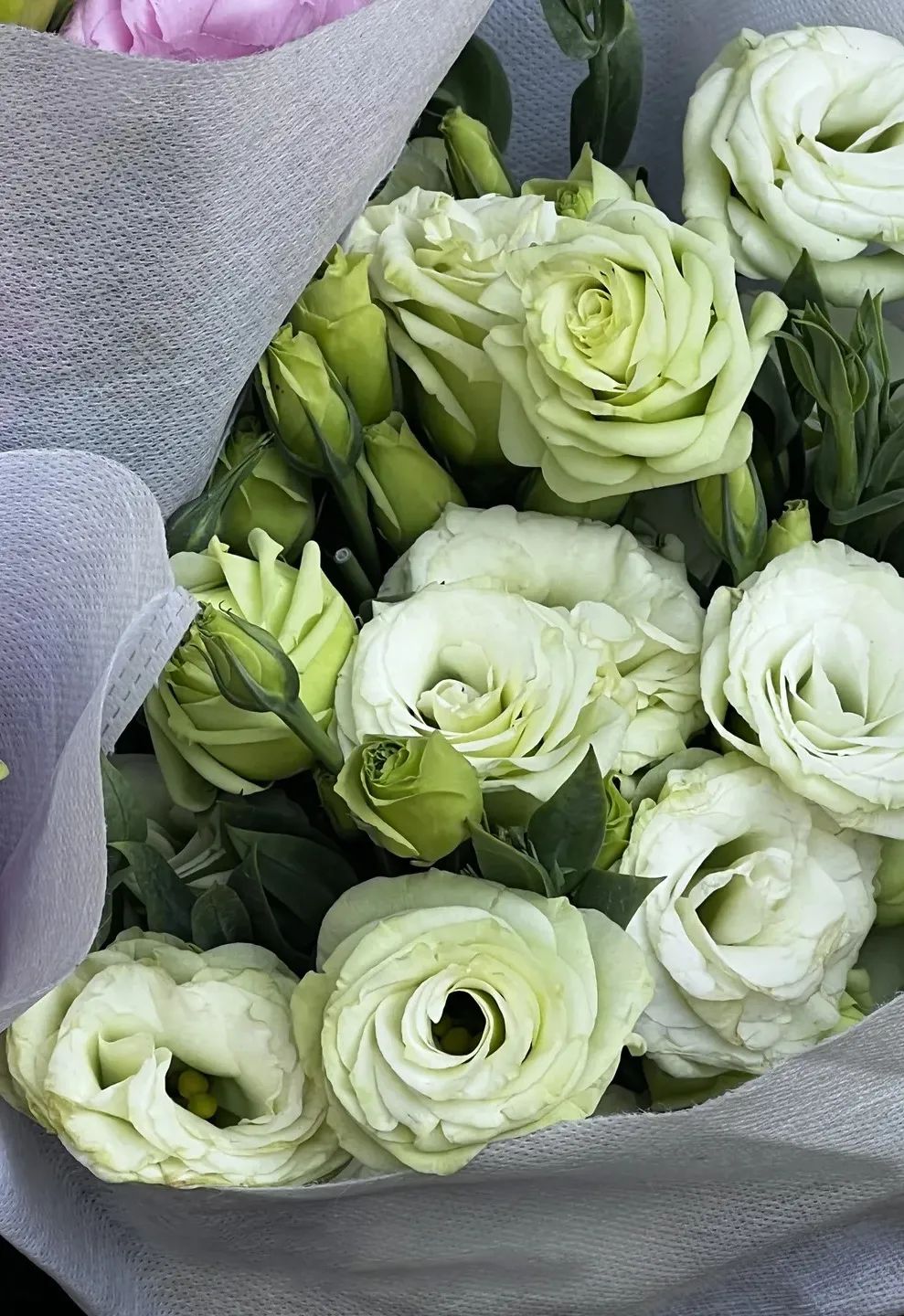 把春天带回家原唱,把云南的春天带回家