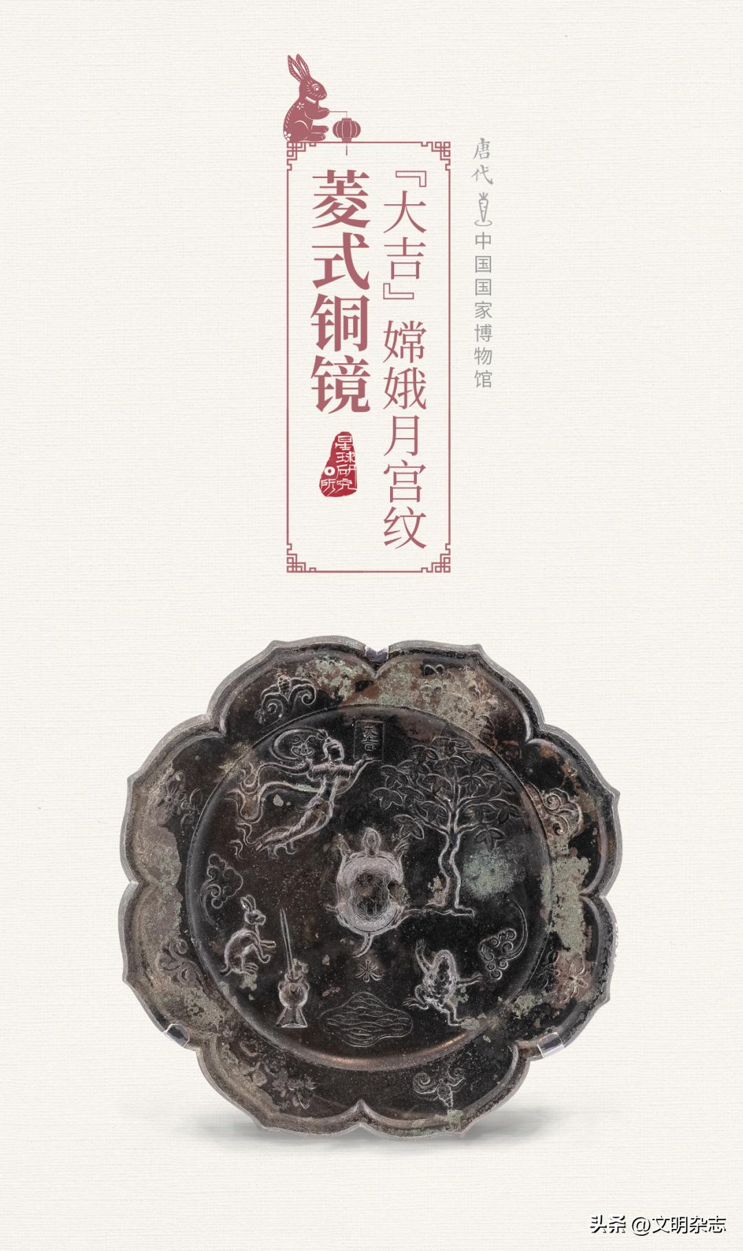 兔子来阳台,兔子来到新家