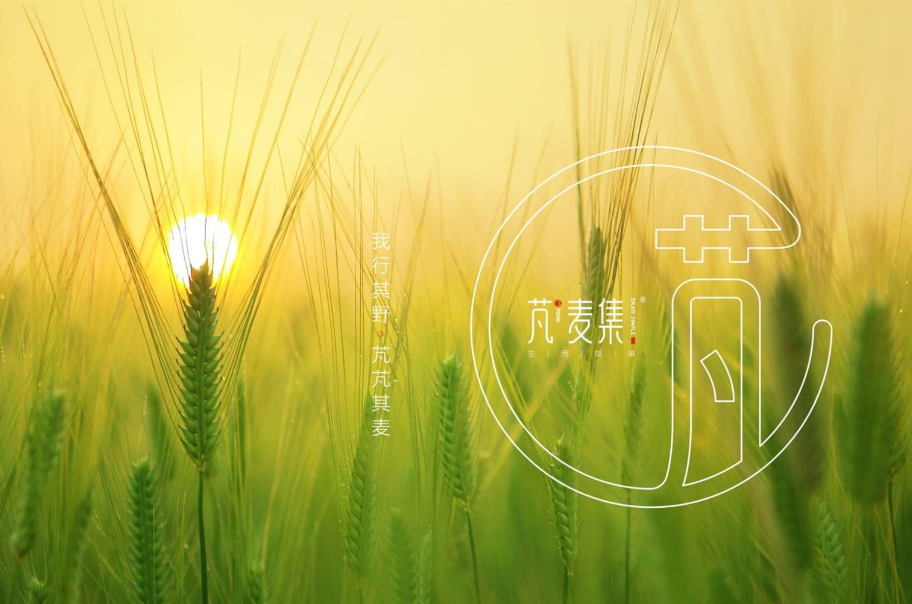 西安品牌设计公司报价,西安品牌策划公司