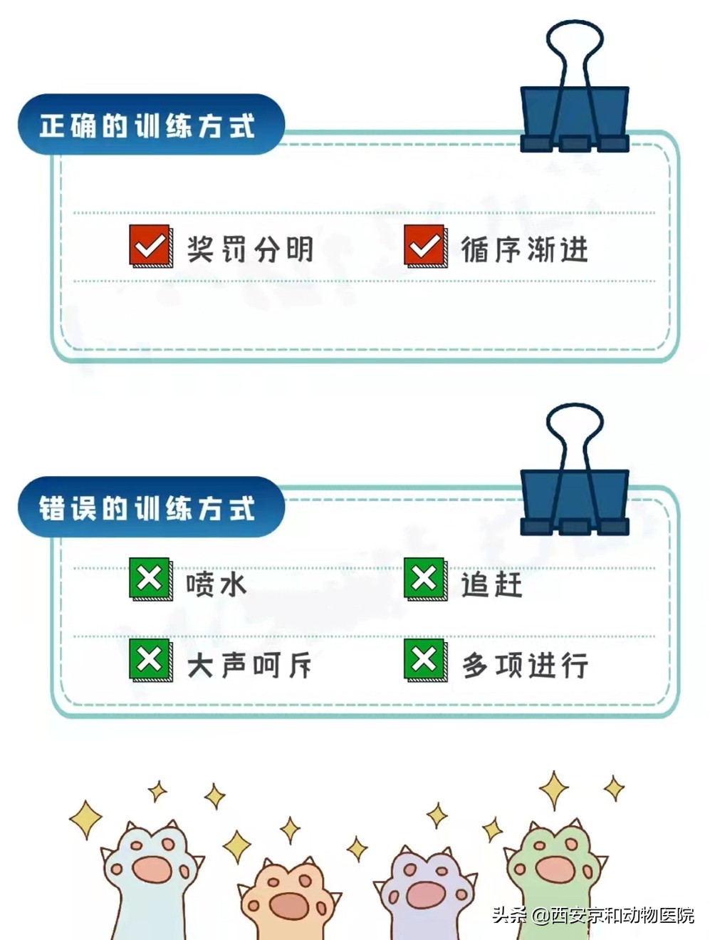 猫咪社会化训练方法快点学起来,猫咪社会化训练多久洗一场澡
