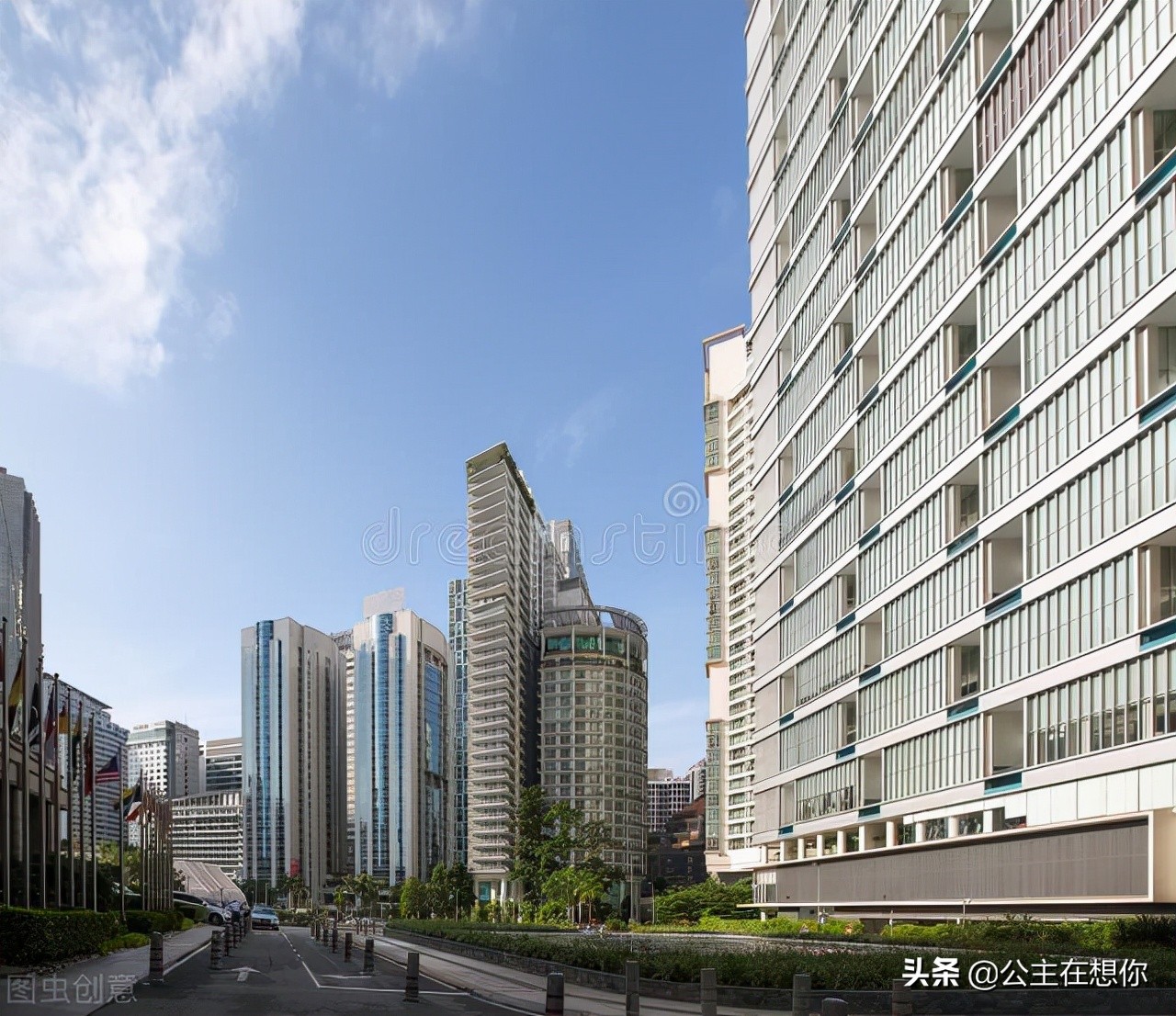 新加坡7个冷知识英文,世界上养猫最多的国家