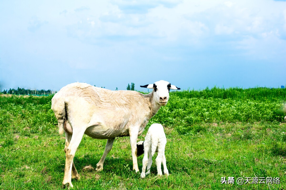 如何才能预防日射病和热射病的发生呢？