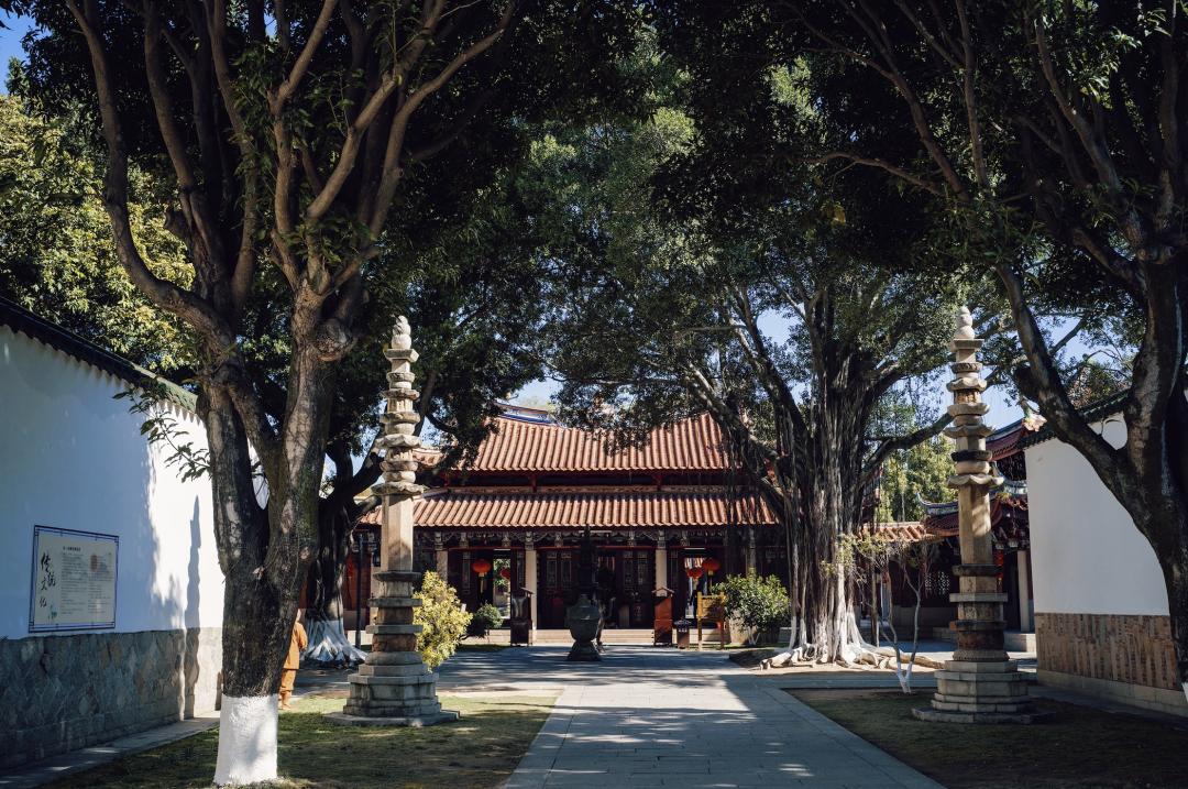 打包票，这座城市你去了一次就会爱上...