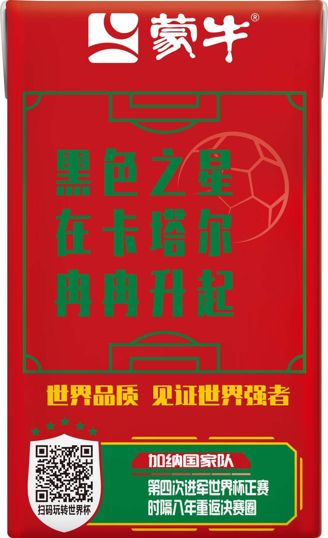 世界杯队长纪录片b站,国家队队长的故事