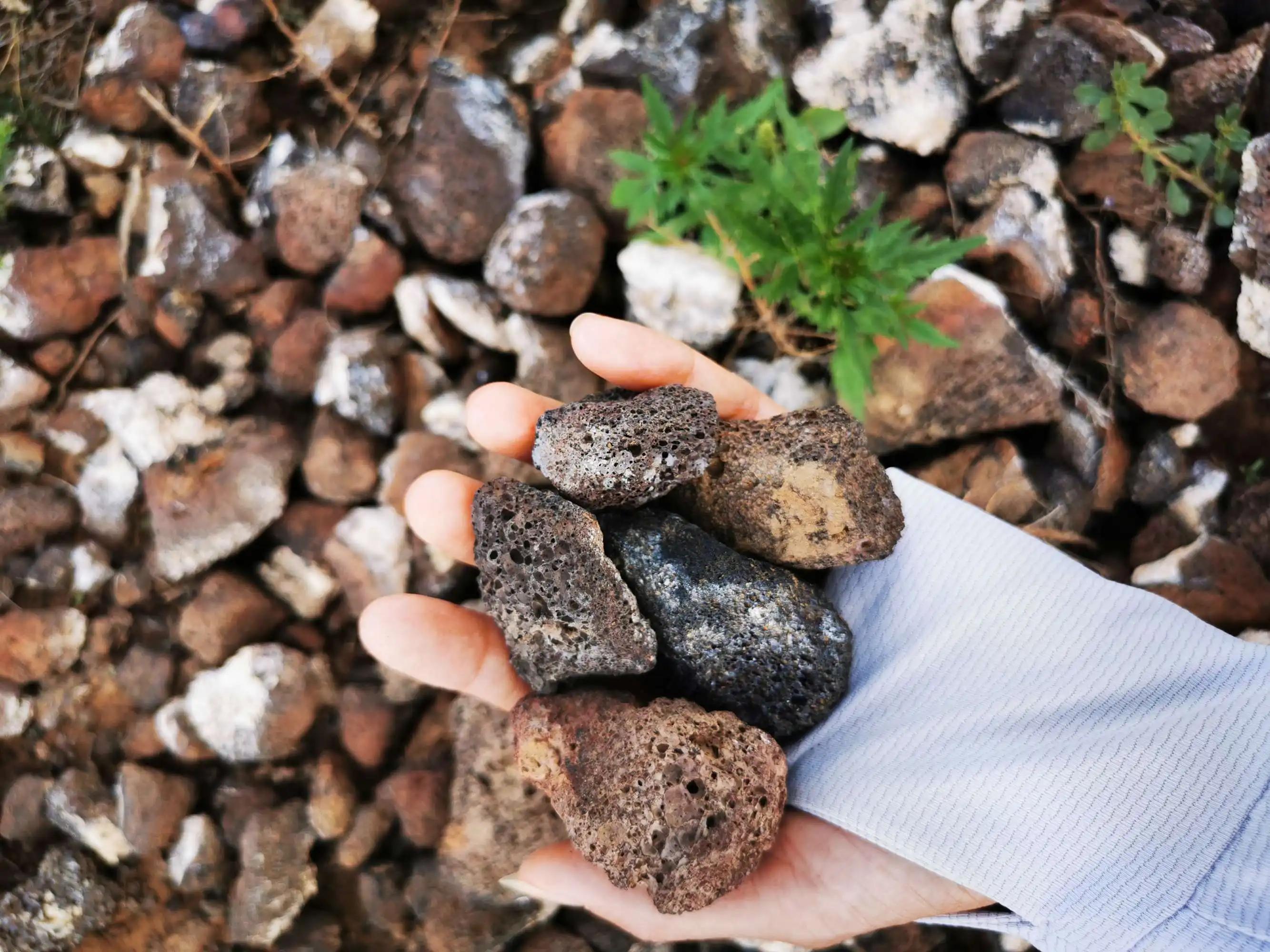 养鱼滤材怎么选合适,养鱼滤材必备知识大全图解