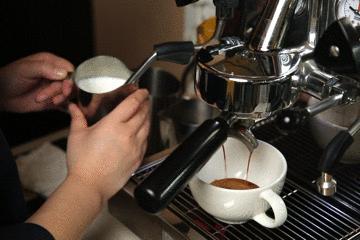 云南天皓庄园咖啡豆,云南天皓庄园