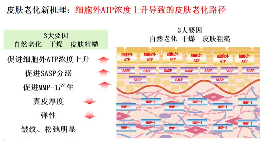 最贵的一瓶护肤品,很昂贵的护肤品