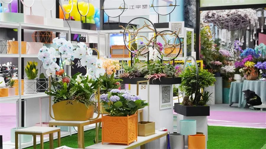 镇店之宝被抢购，“亚洲最美花展”上盆栽“吸睛”又“吸金”