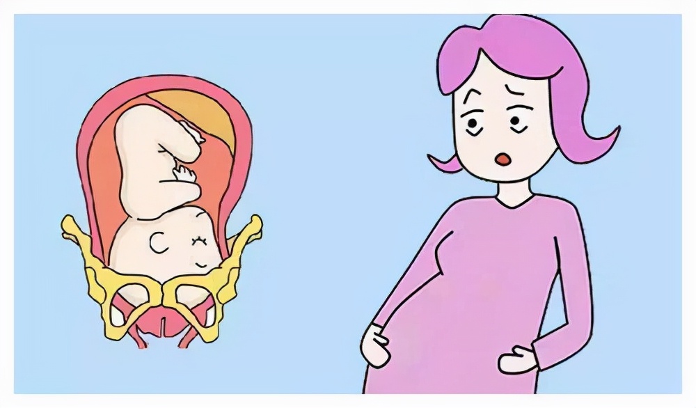 孕检建档去哪里办,怀孕建档是去哪个社区医院