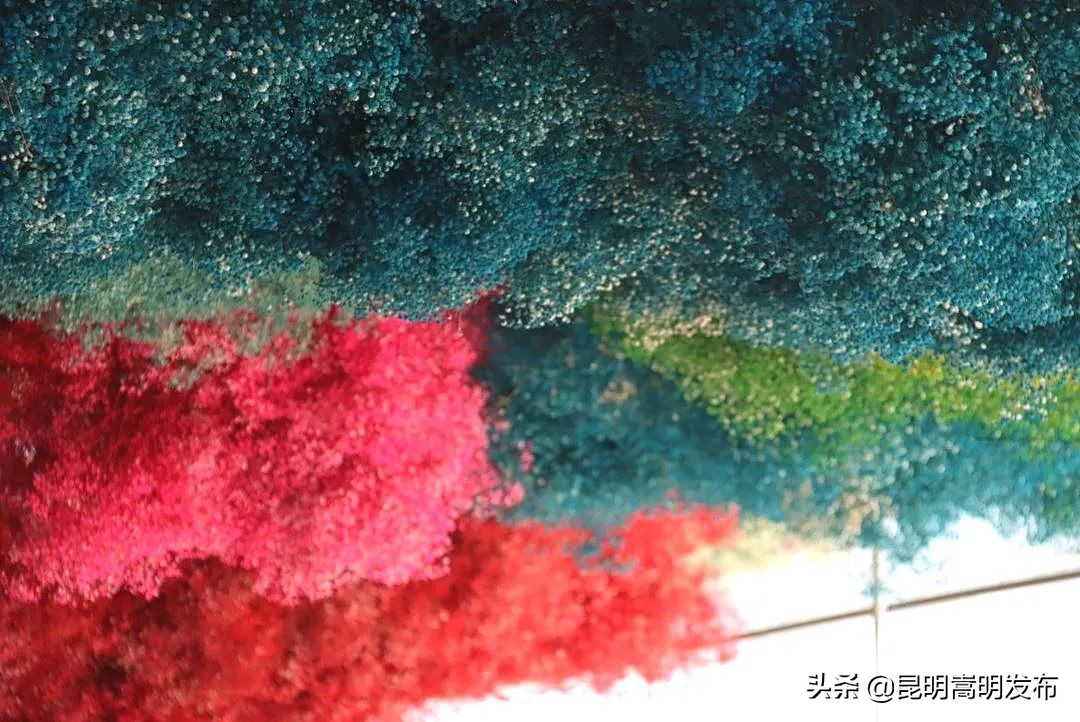 嵩明永生花店 (嵩明永生花)