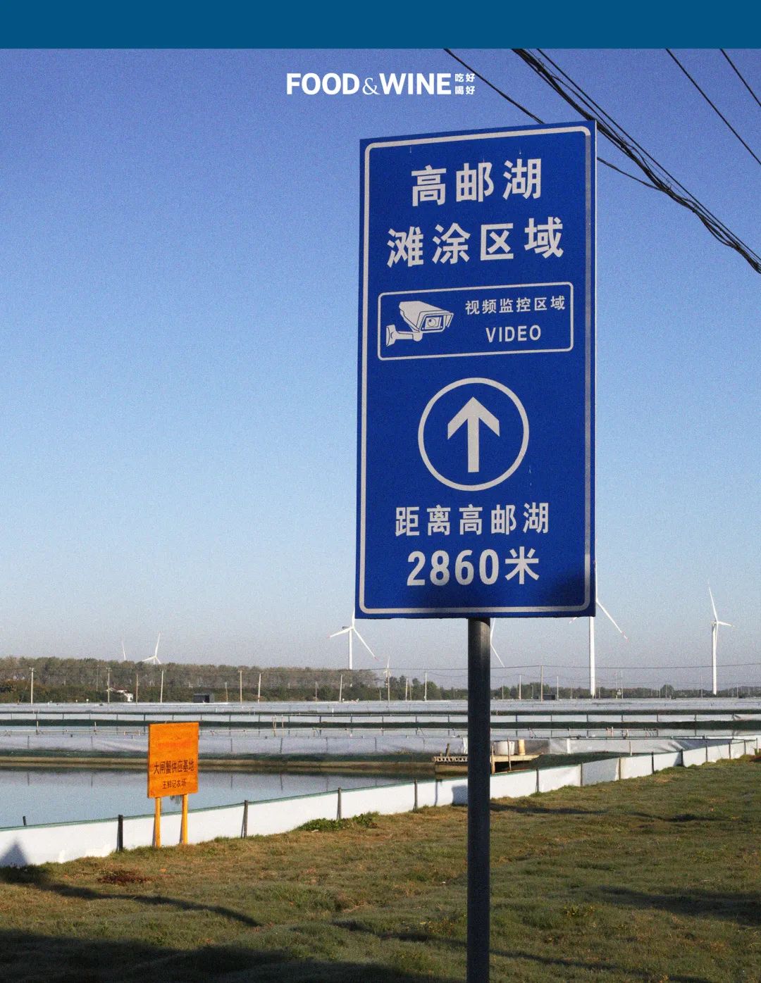 固城湖还是高邮湖螃蟹好,高邮湖螃蟹几月份有