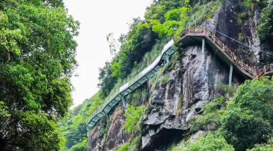 带你们体验摘杨梅的乐趣,酸酸甜甜的杨梅有谁陪我一起采摘