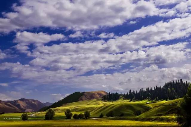 这条惊艳奇绝的公路,行走在天山脊梁上的最美景观公路