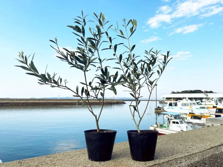 优衣库儿童区,优衣库游乐场效果图