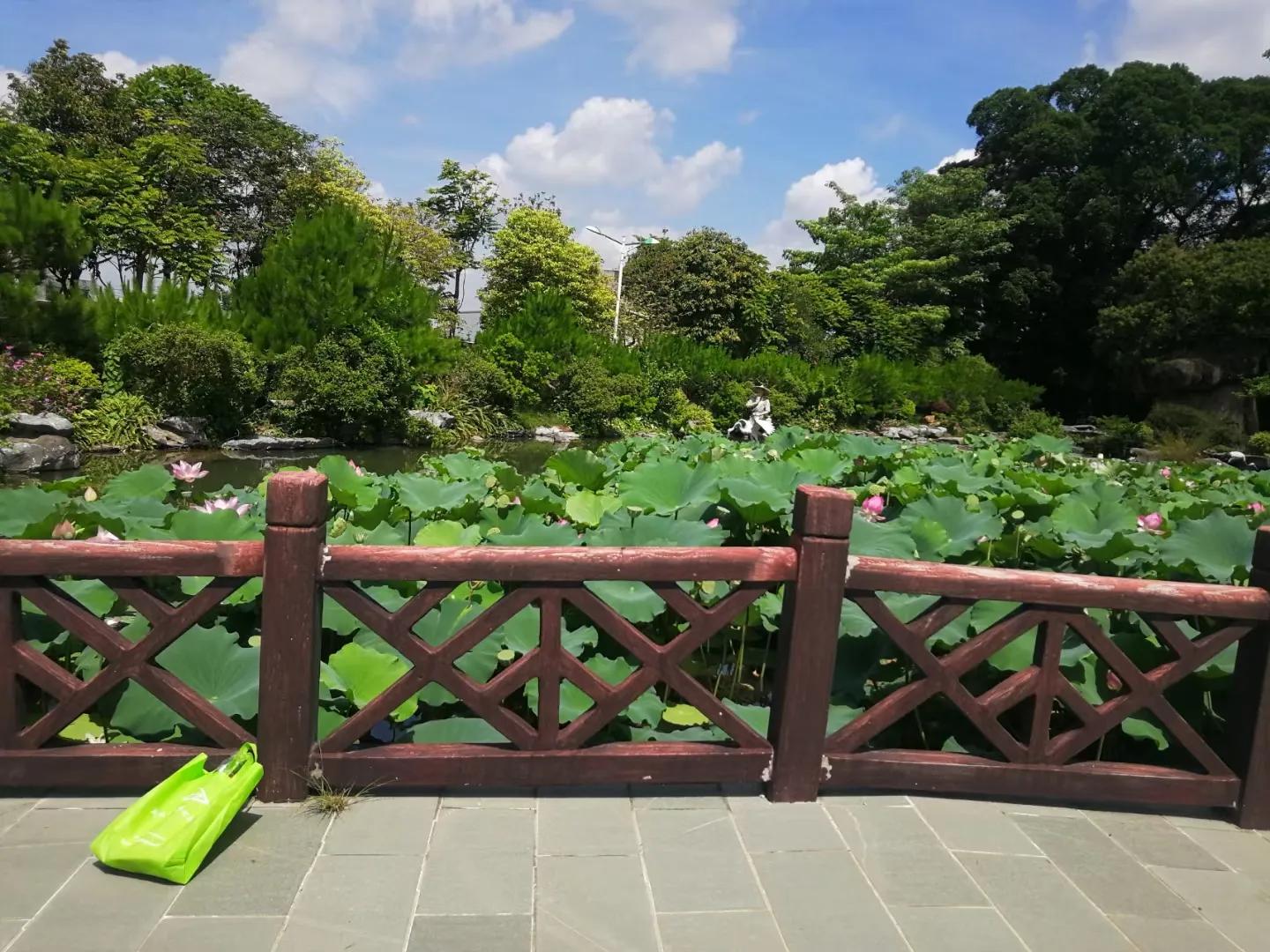 芒果的味道是怎样形成的,芒果的味道为什么那么好闻