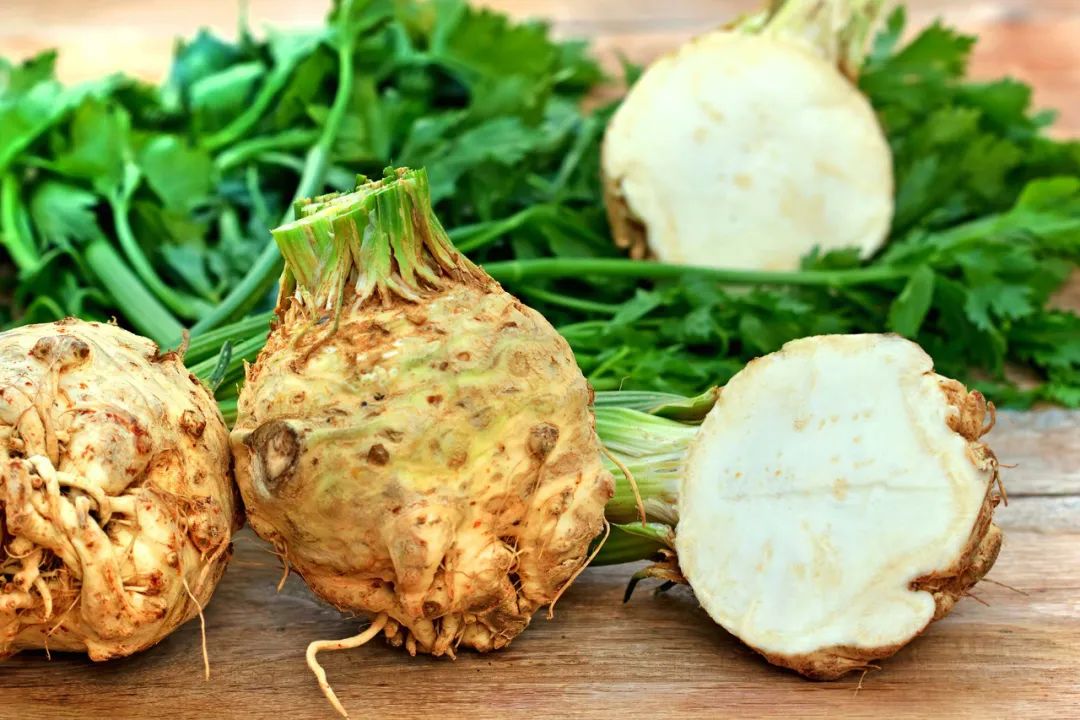 根类食物大全 (5种根菜类的食材)