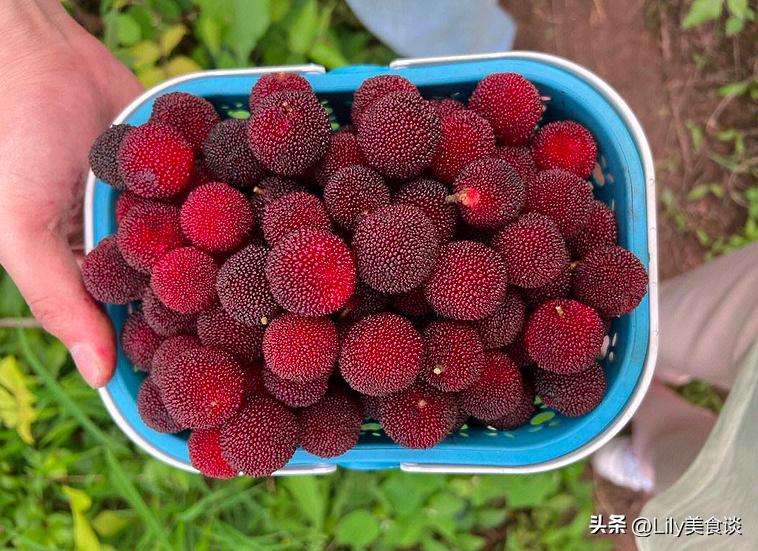 5月，这5种水果记得多吃，正当季水分足口感好，应季而食受益多