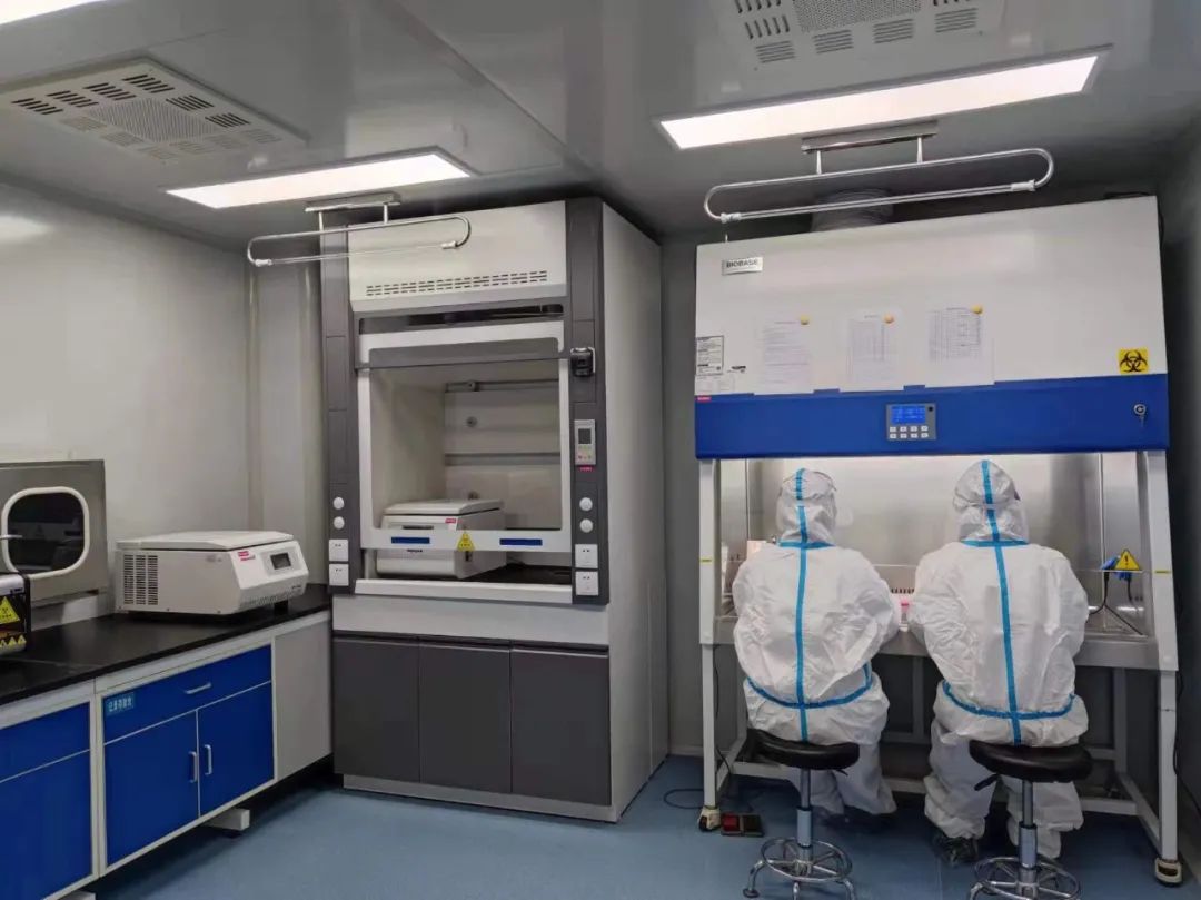 核酸检测报告新消息,核酸检测报告详解