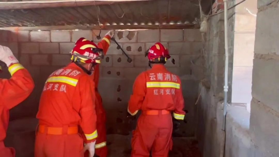 家里进蛇怎么办蛇怕什么,家里连续进了5次蛇