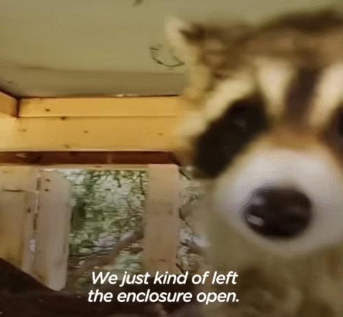 鍔犳嬁澶у皬娴g唺骞煎唇,鍔犳嬁澶у杺鍏诲皬娴g唺