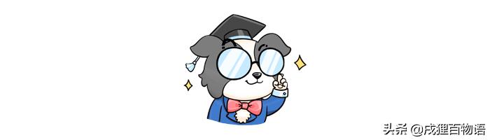 母狗绝育也有后遗症，漏尿怎么办？