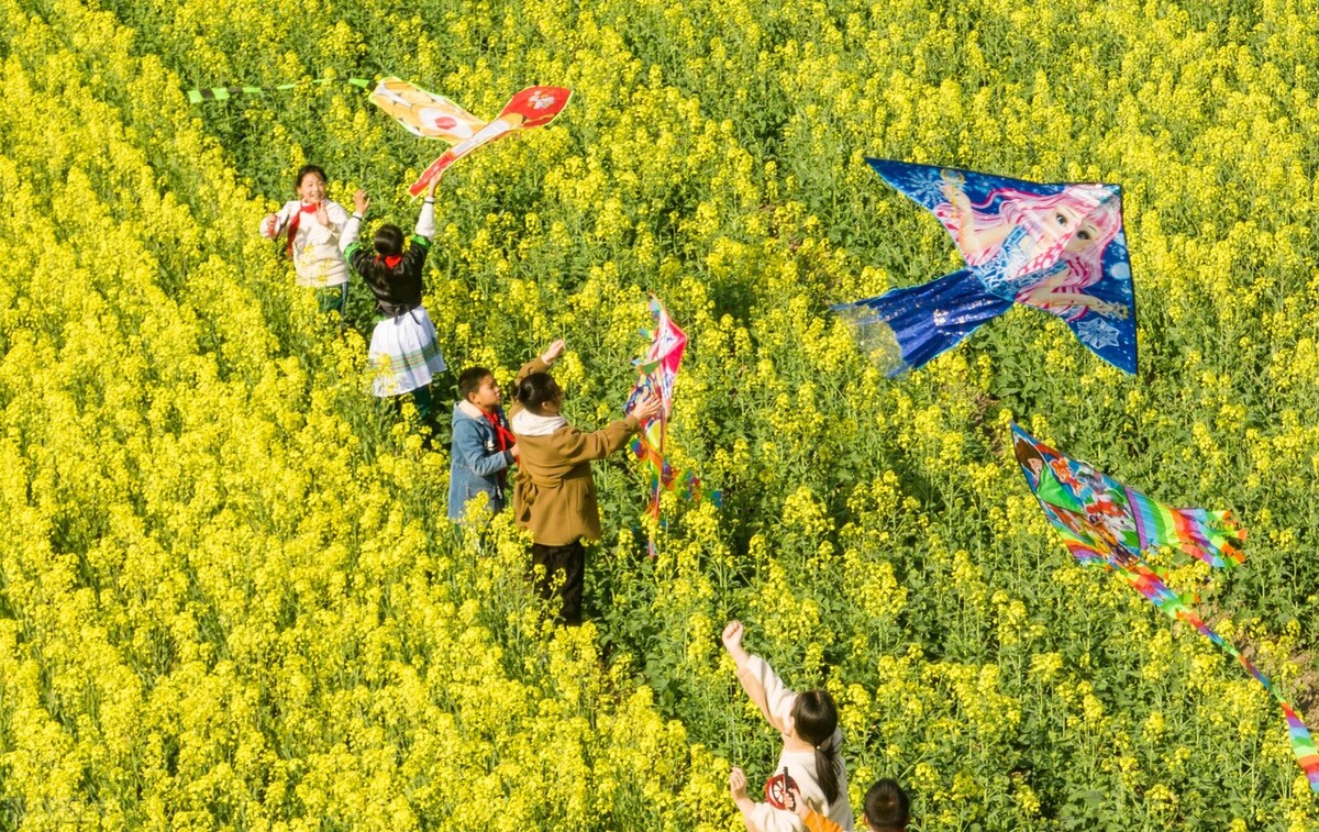 痛心！黄磊爱女人设崩塌，揭开“富养”女儿*局骗**