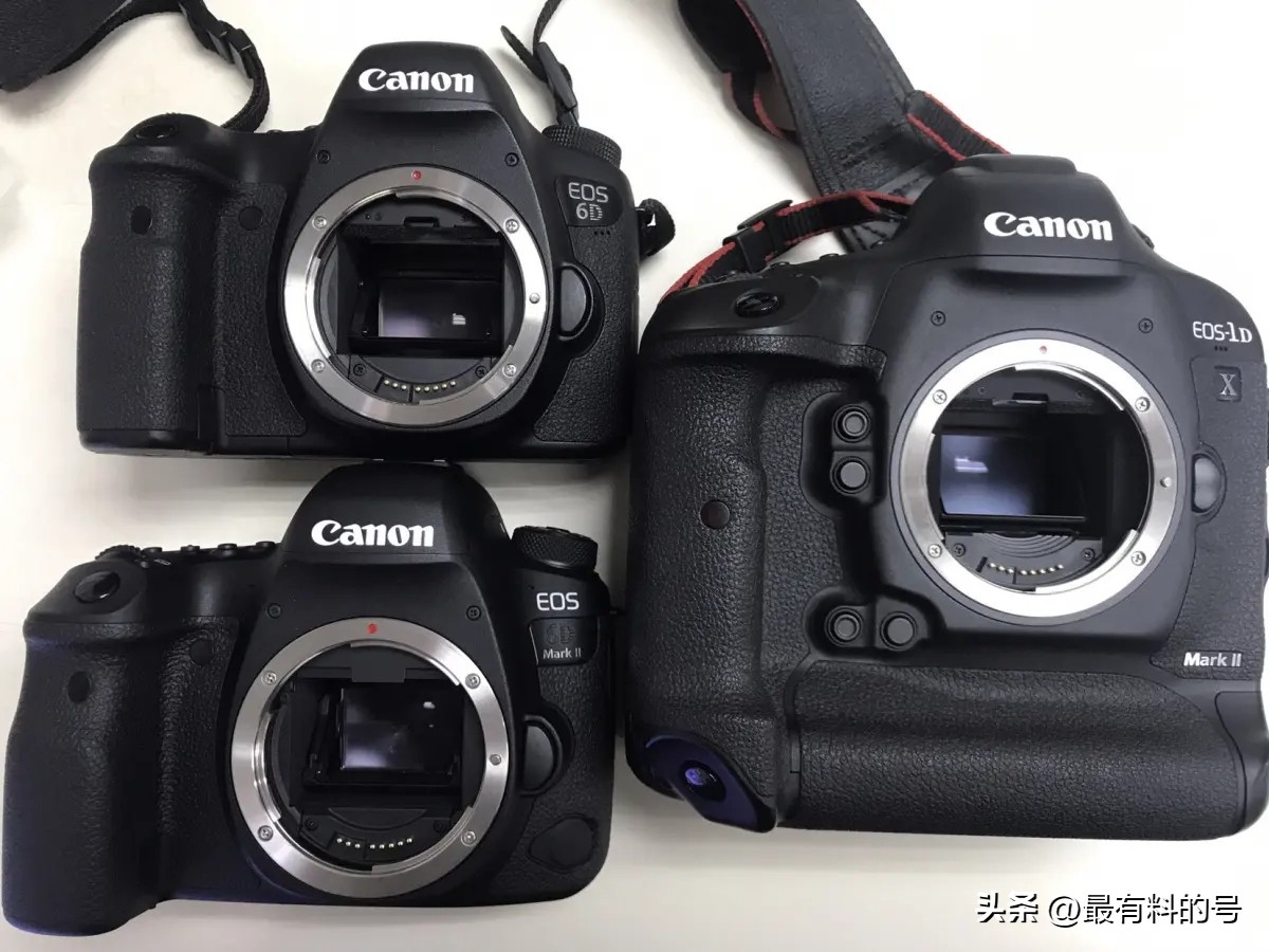 佳能rf镜头分全画幅和半画幅吗,佳能全画幅单反入门买哪个好