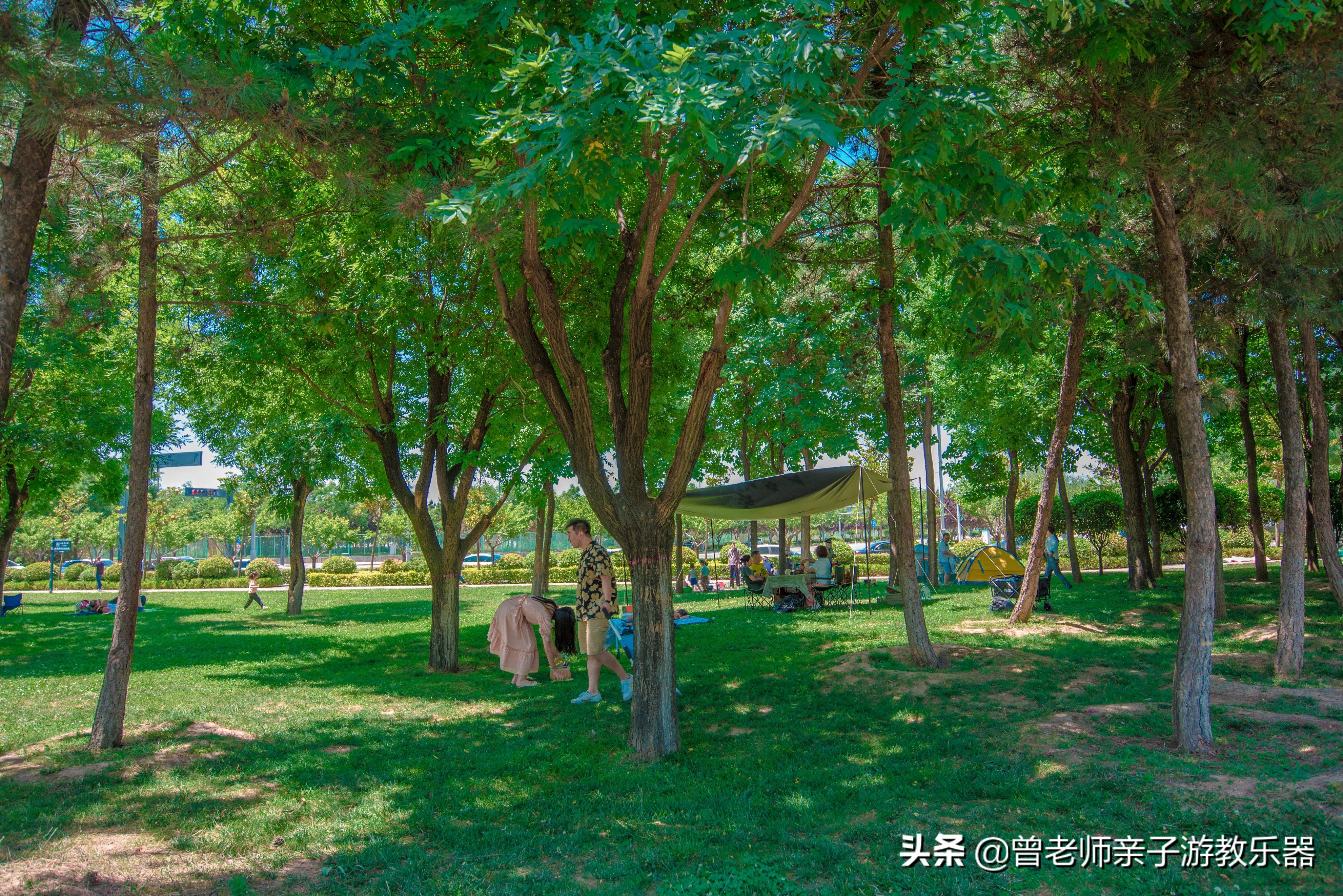 西安秋天野营免费地点,西安秋天露营地免费地点