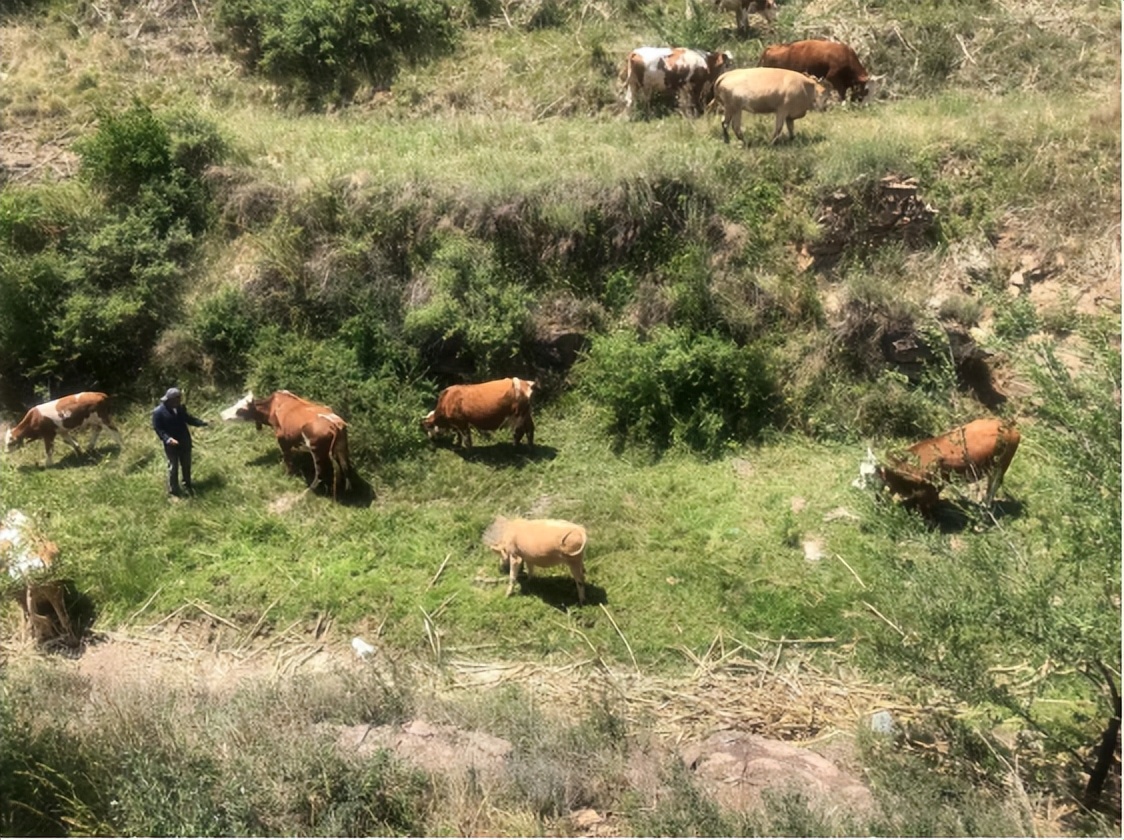 乡村电信建设,电信数字乡村建设思路方案