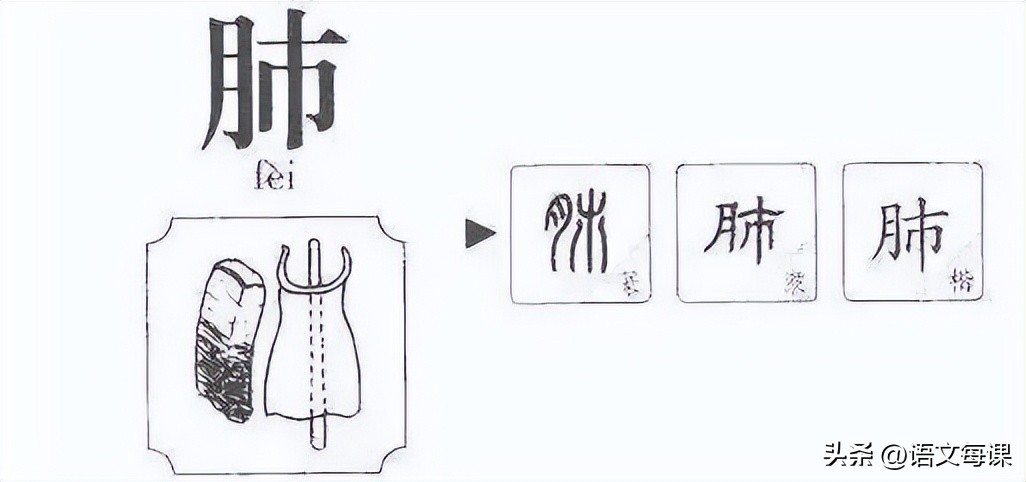 那些一直被读错的字,常见却常常读错的字