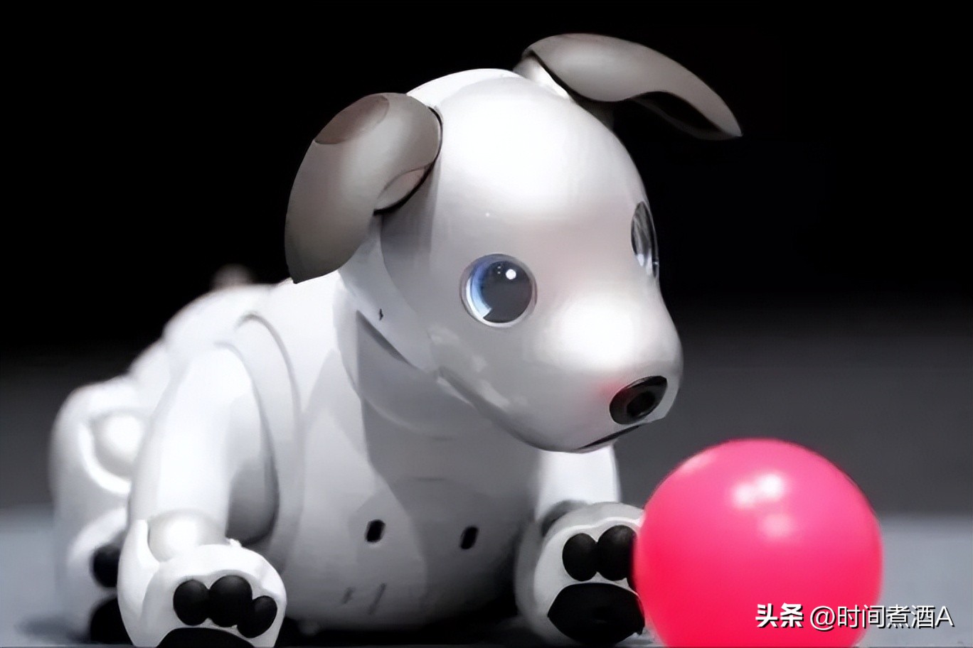 日本研发妻子机器人,日本妻子机器人上市遭疯抢