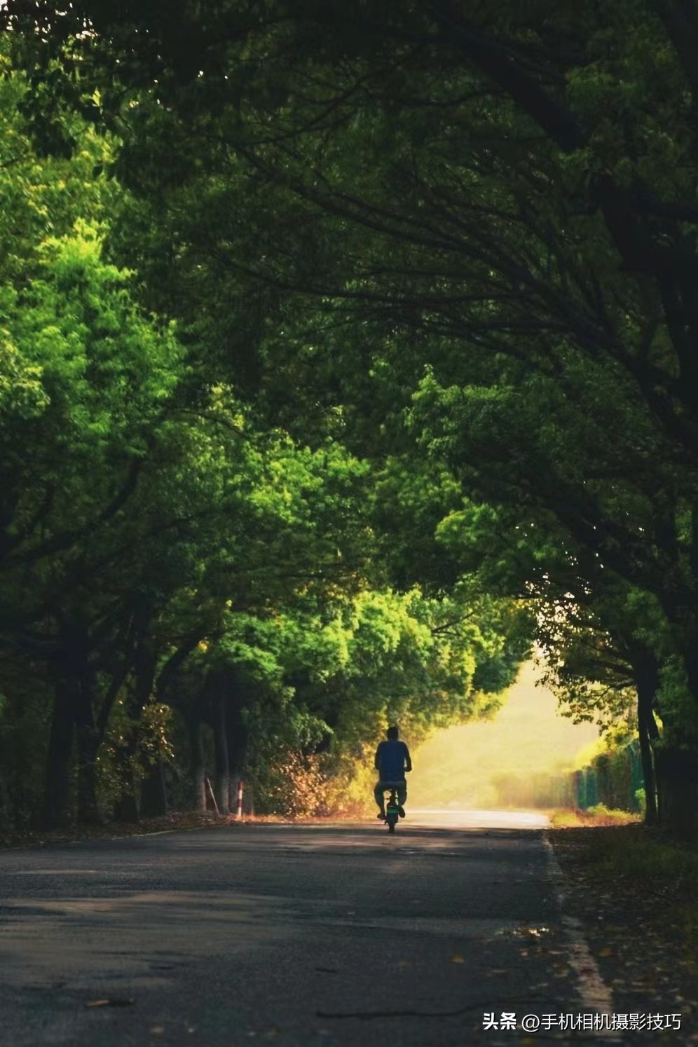 修图普通图片也可以如此好看,突然就顺眼了