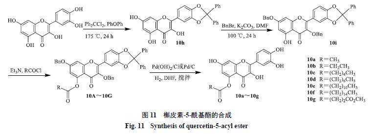 槲皮素的氧化机理,槲皮素的有关药物活性成分
