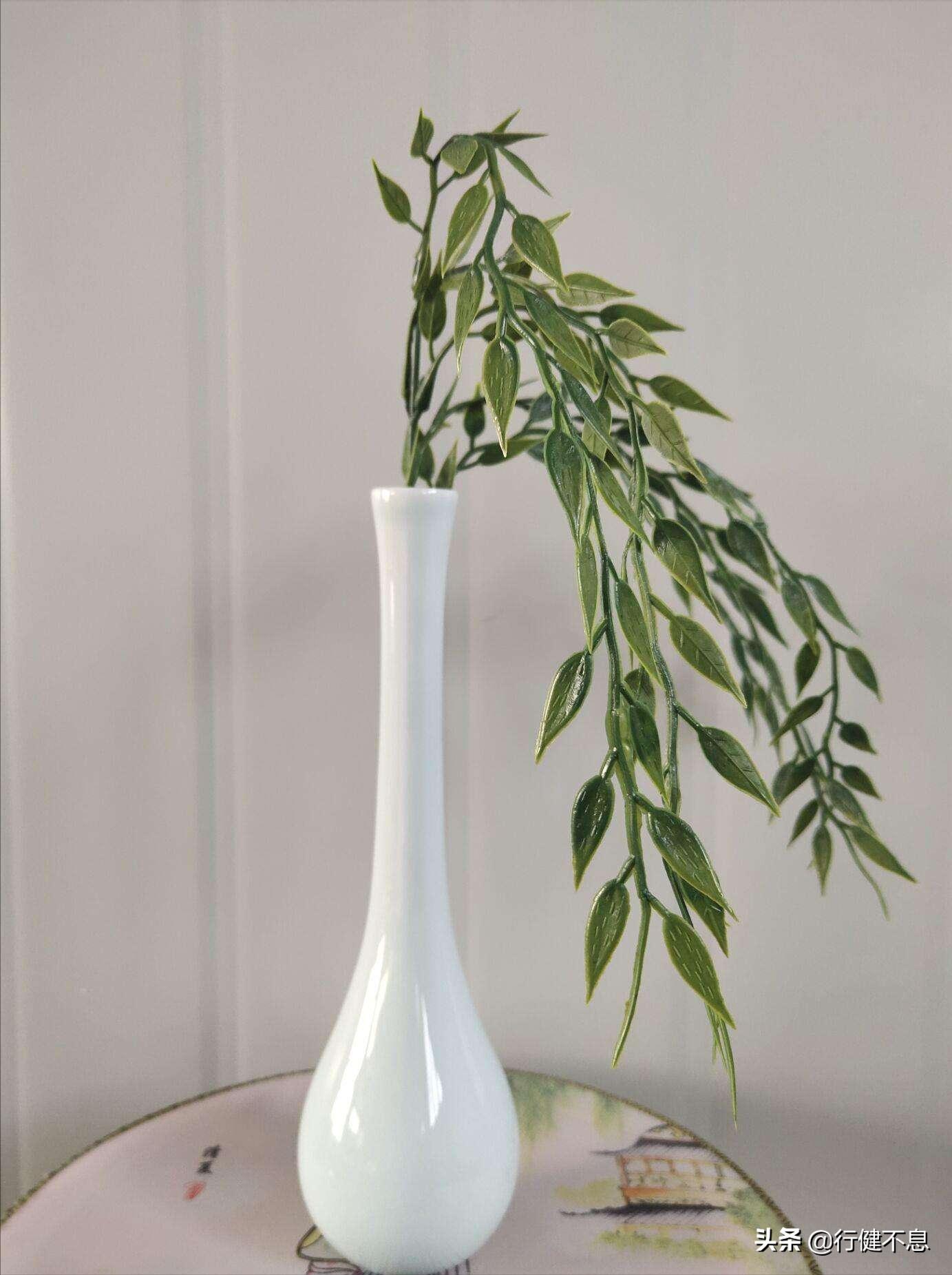 关于咏柳著名诗句及其赏析,咏柳经典诗词100首