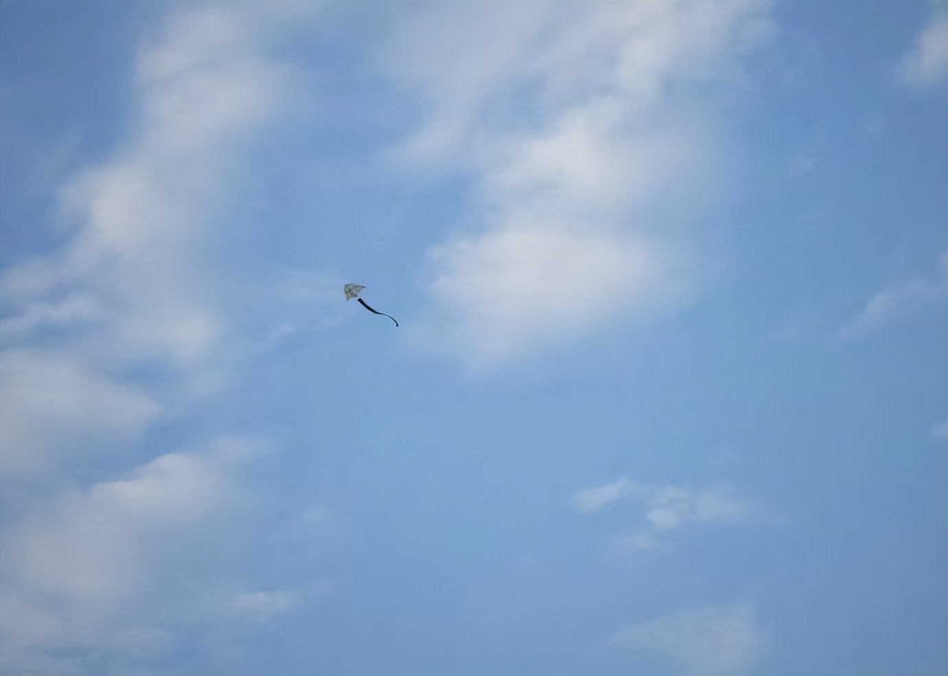 法国老太等中国初恋50年未嫁人,法国姑娘苦等初恋55年