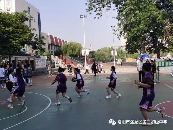 素质教育结硕果,素质教育特色学校创建实施方案