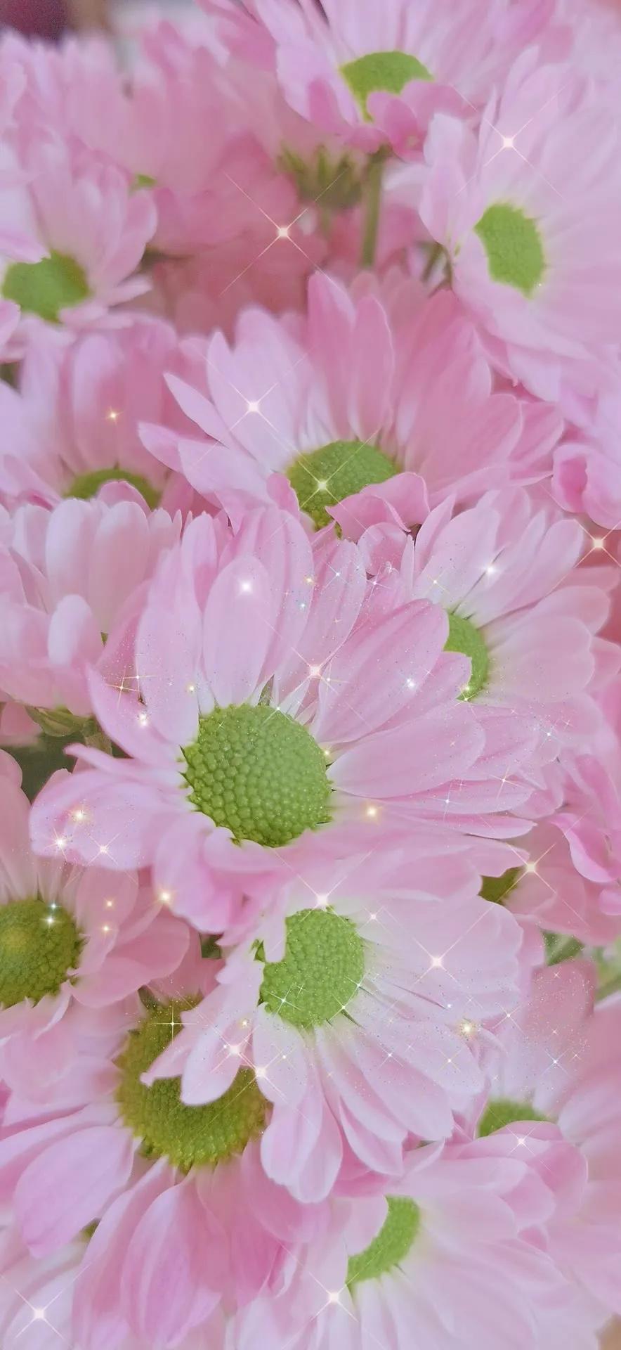 全屏手机壁纸高清无水印,特别好看的手机壁纸高清全屏