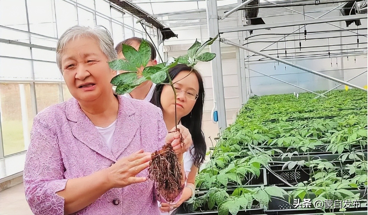 云南出席*党**的二十大代表,背后都有哪些故事?