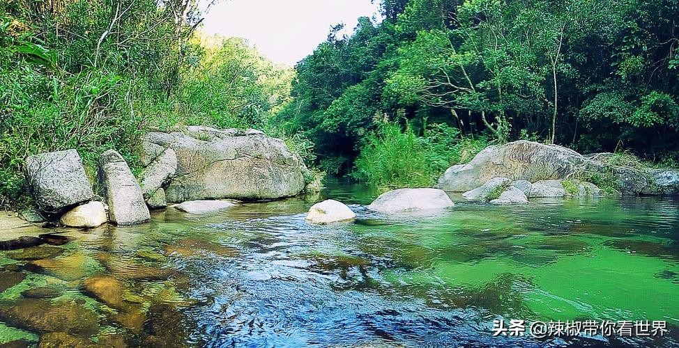 海岸线：邂逅*江阳**——感受这座慢节奏小城文化底蕴感悟人文之美
