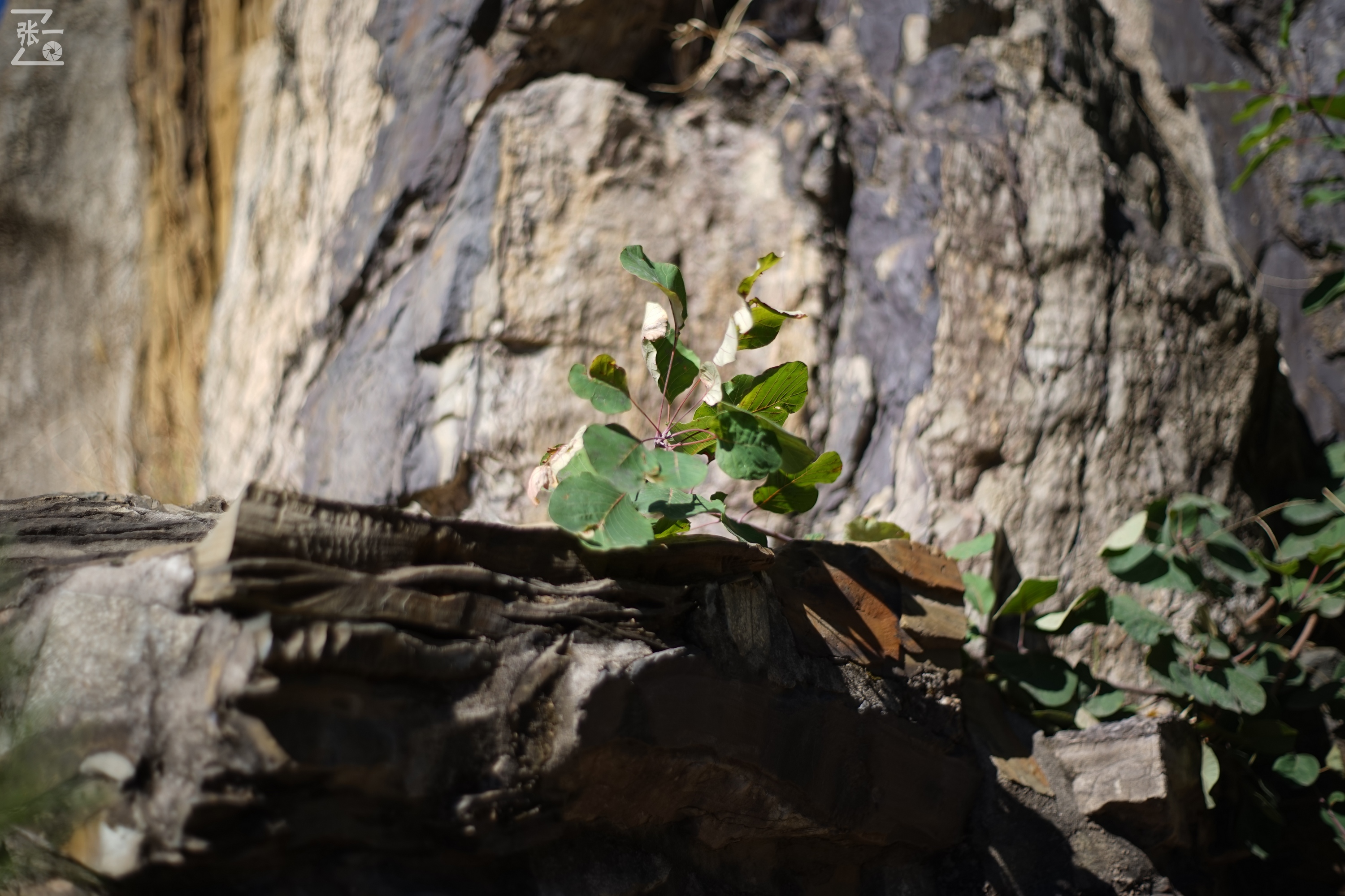老镜头实拍,老镜头拍北京