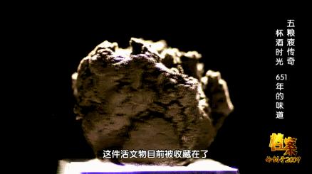 五粮液酒的精辟句子,五粮液的十年经典