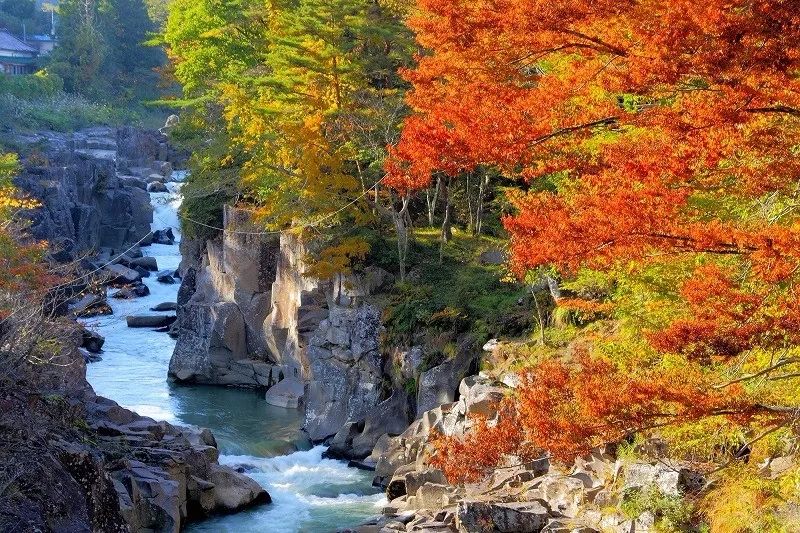 日本酒有哪些产区,日本酒三大产区