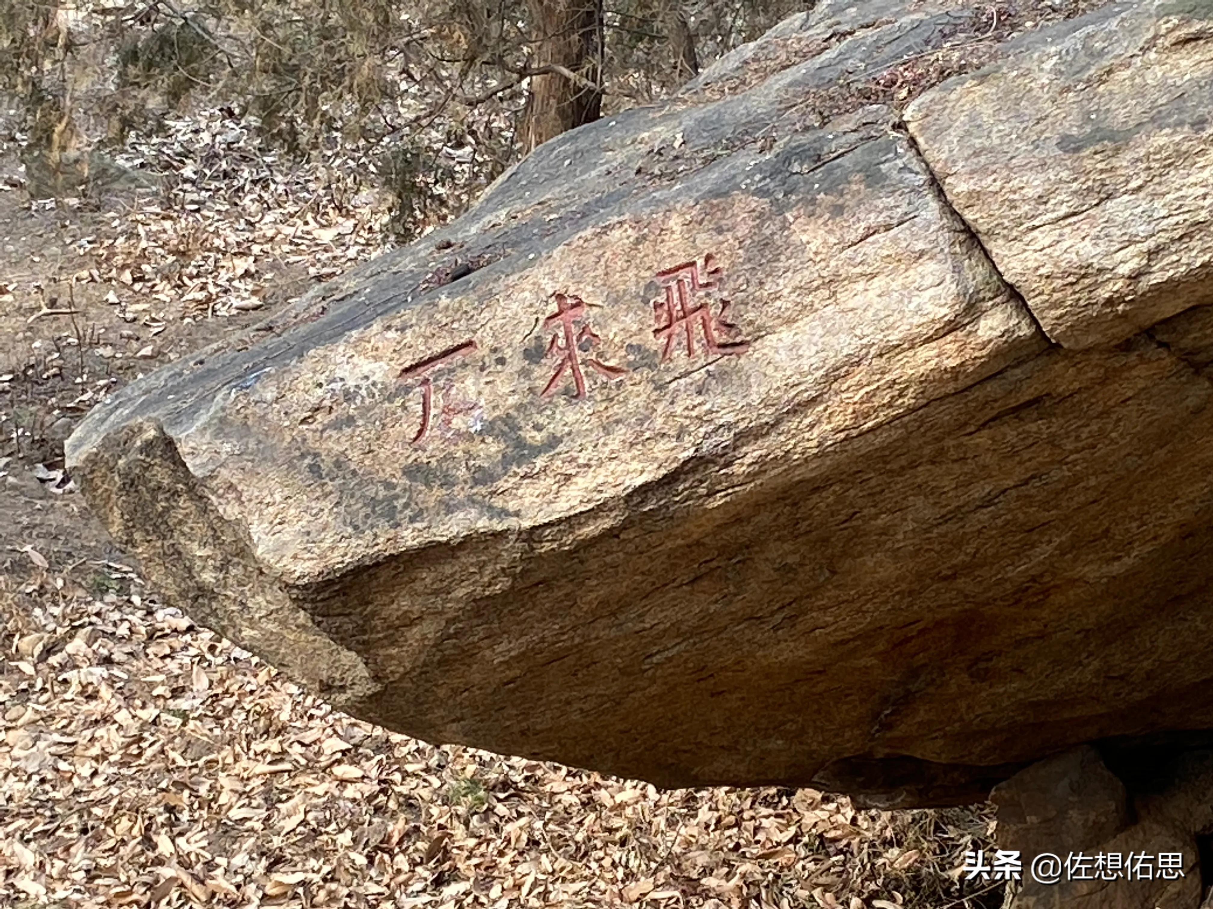 山东*安泰**普照寺东边的“荷花荡”是正在逐步修复吗？