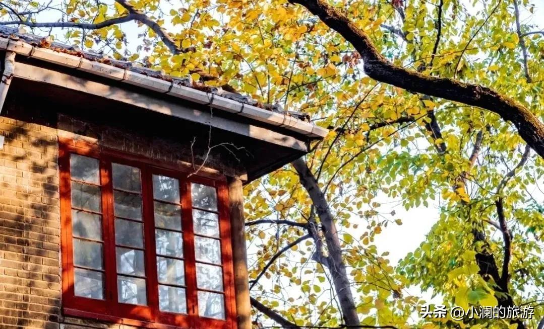 南京最富盛名的旅游胜地,南京最值得去的十大历史文化景点