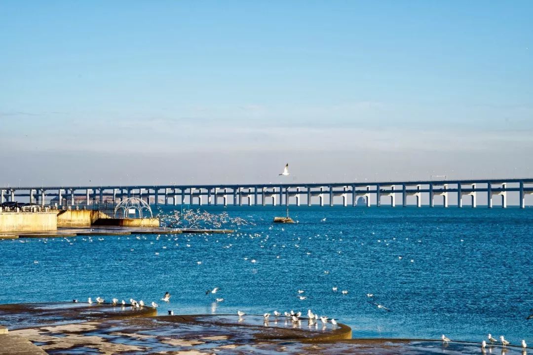 大连之旅的美景,大连海岛旅行感受