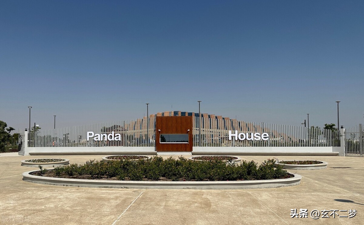 中国用实力赢了世界杯,中国元素闪耀卡塔尔世界杯