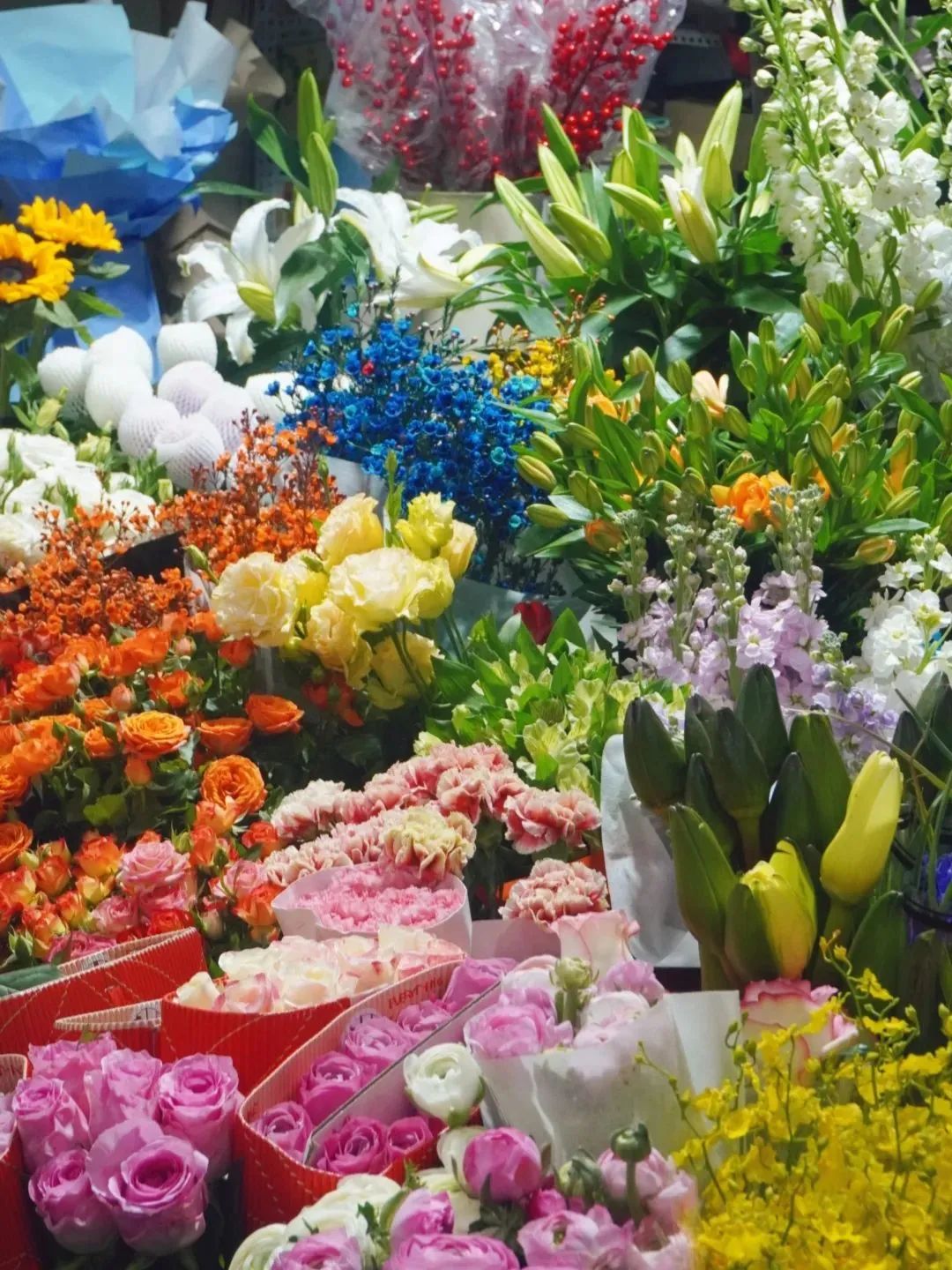 济南花市排名,济南赏花打卡地