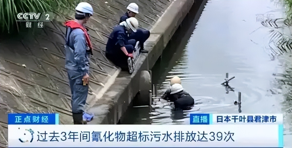 日本自杀式造假！坑惨5000家企业…