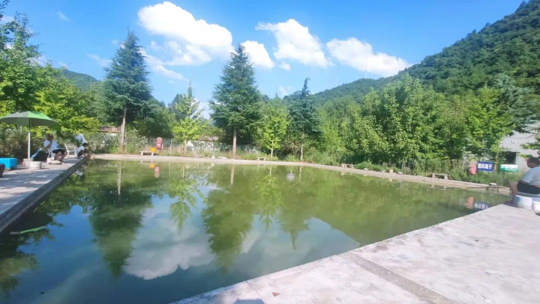 司法拍卖的房子能买吗,司法拍卖网