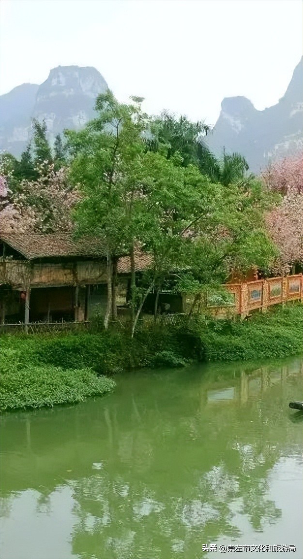 明仕田园风景区国庆节风景,广西明仕田园之旅